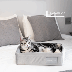 Cama Spot Lush - Cinza