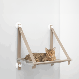 loft plus