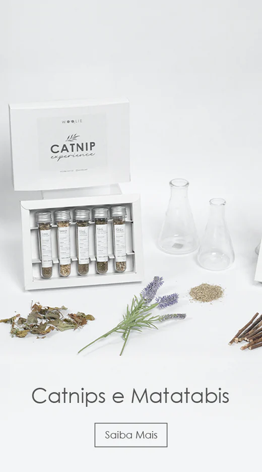 Banner_MOB_HomePage_-_Catnip_Experience-1.webp