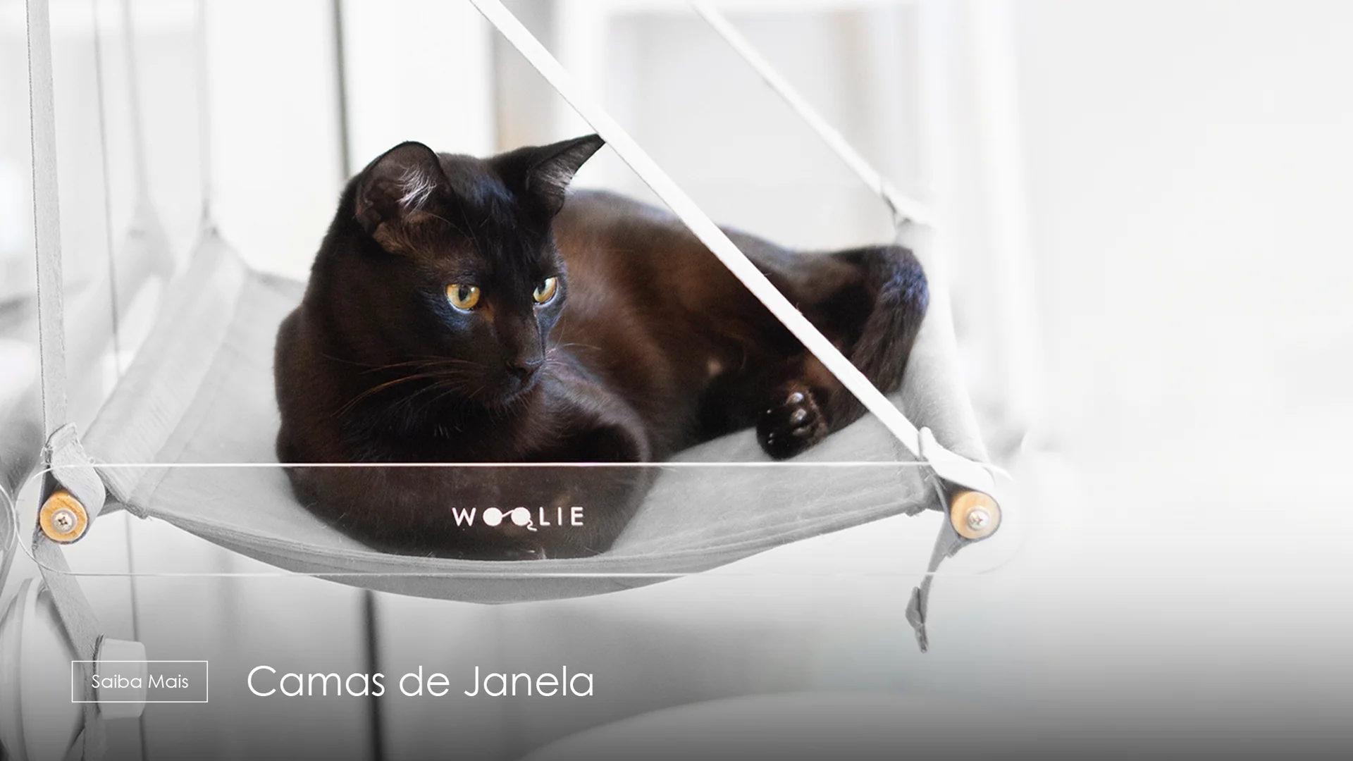 Banner_WEB_HomePage_-_Camas_de_Janela-4.webp