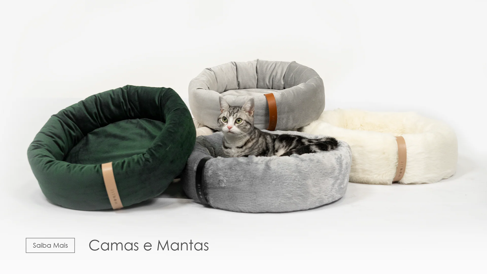 Banner_WEB_HomePage_-_Camas_e_Mantas_6c795161-00a4-4ef7-abb4-9b8bcce9d672 (1)