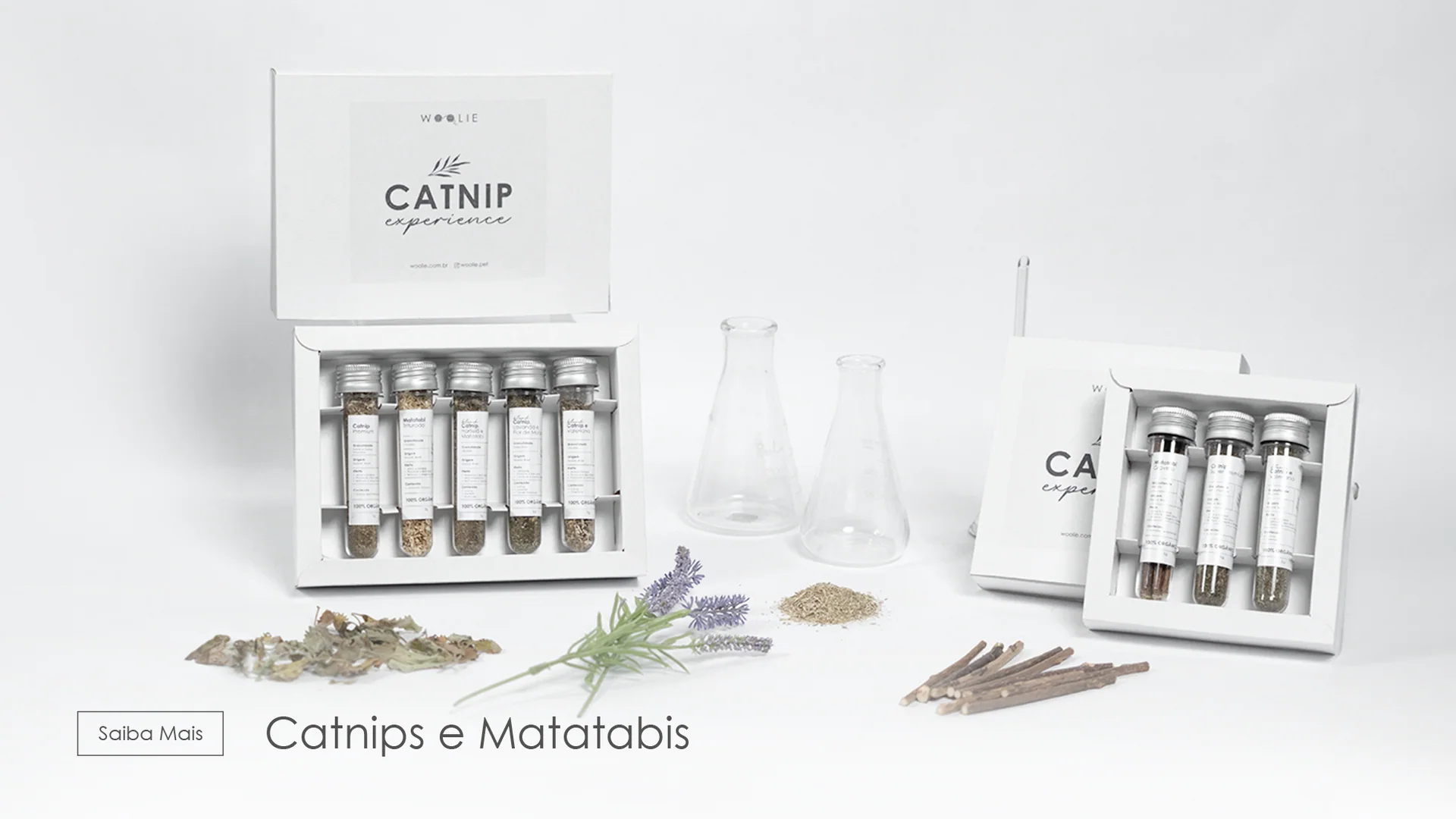 Banner_WEB_HomePage_-_Catnips_e_Matatabi_31092edc-93a9-42fb-b268-be46cb3d7652-1-2-1.webp